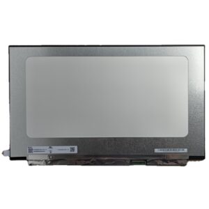 15.6" QHD N156KME-GNA SCREEN