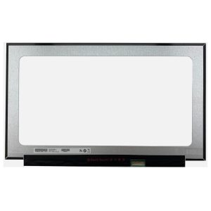 15.6" QHD 40 PIN 165HZ SCREEN